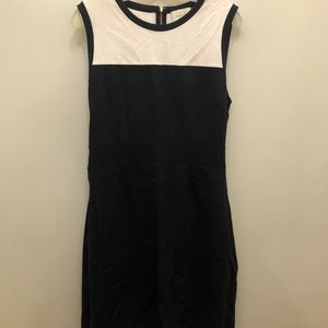 Kate Spade Navy & White Dress